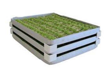 Burak Plastik 20PKTK 20'li Plastik Kare Tepsi Köşeliği